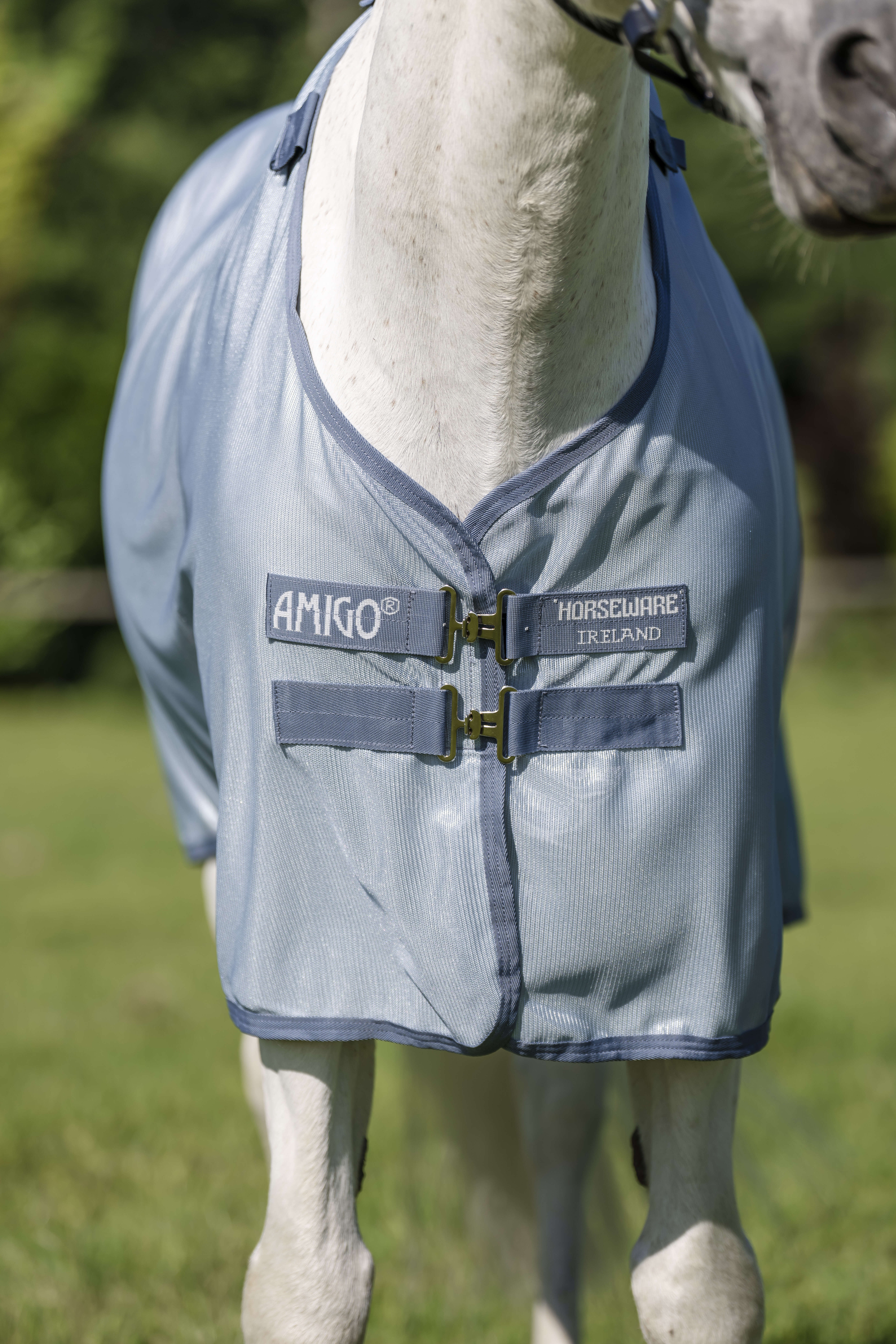 AMIGO Pony-Fliegendecke Bug Rug Plus