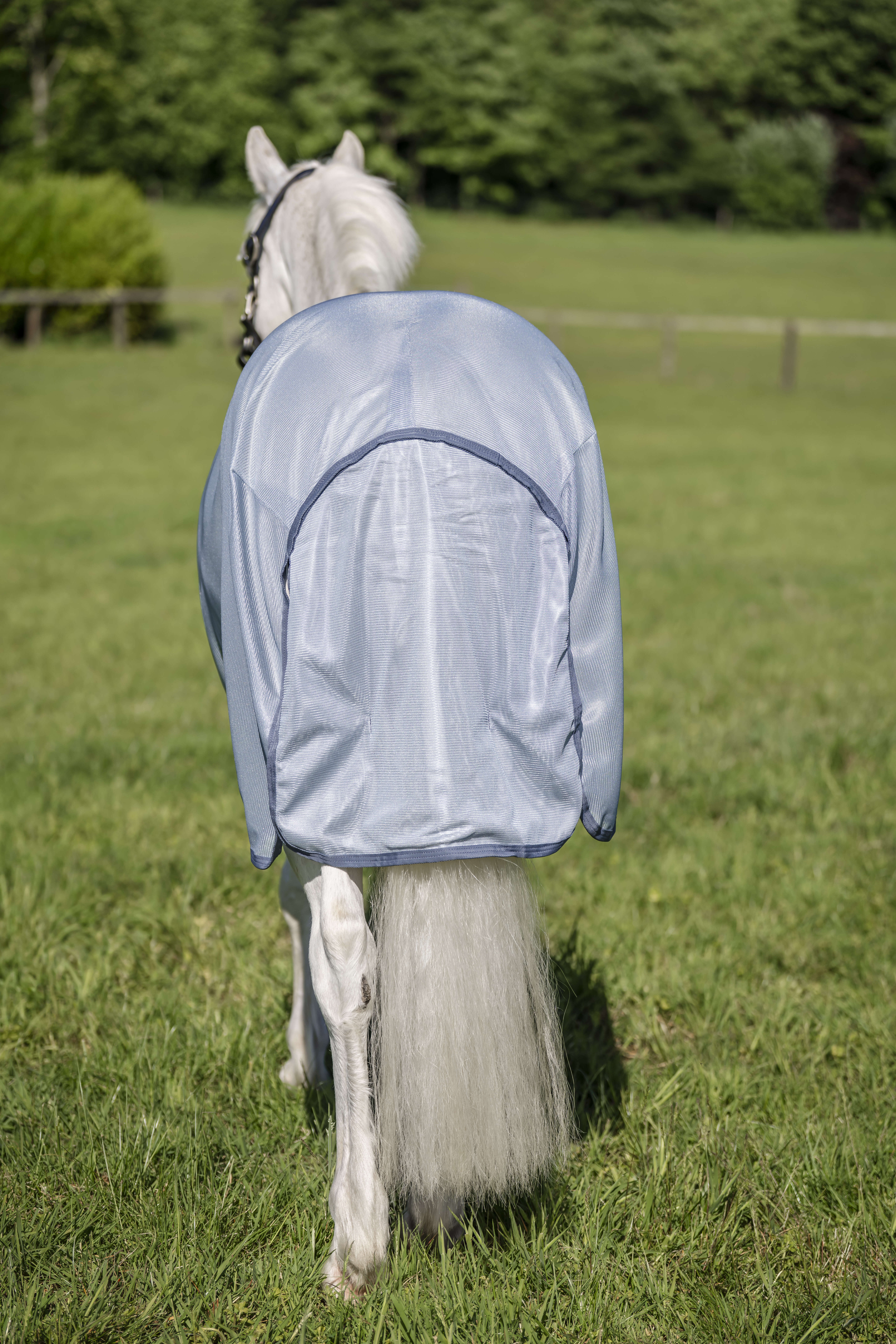 AMIGO Pony-Fliegendecke Bug Rug Plus