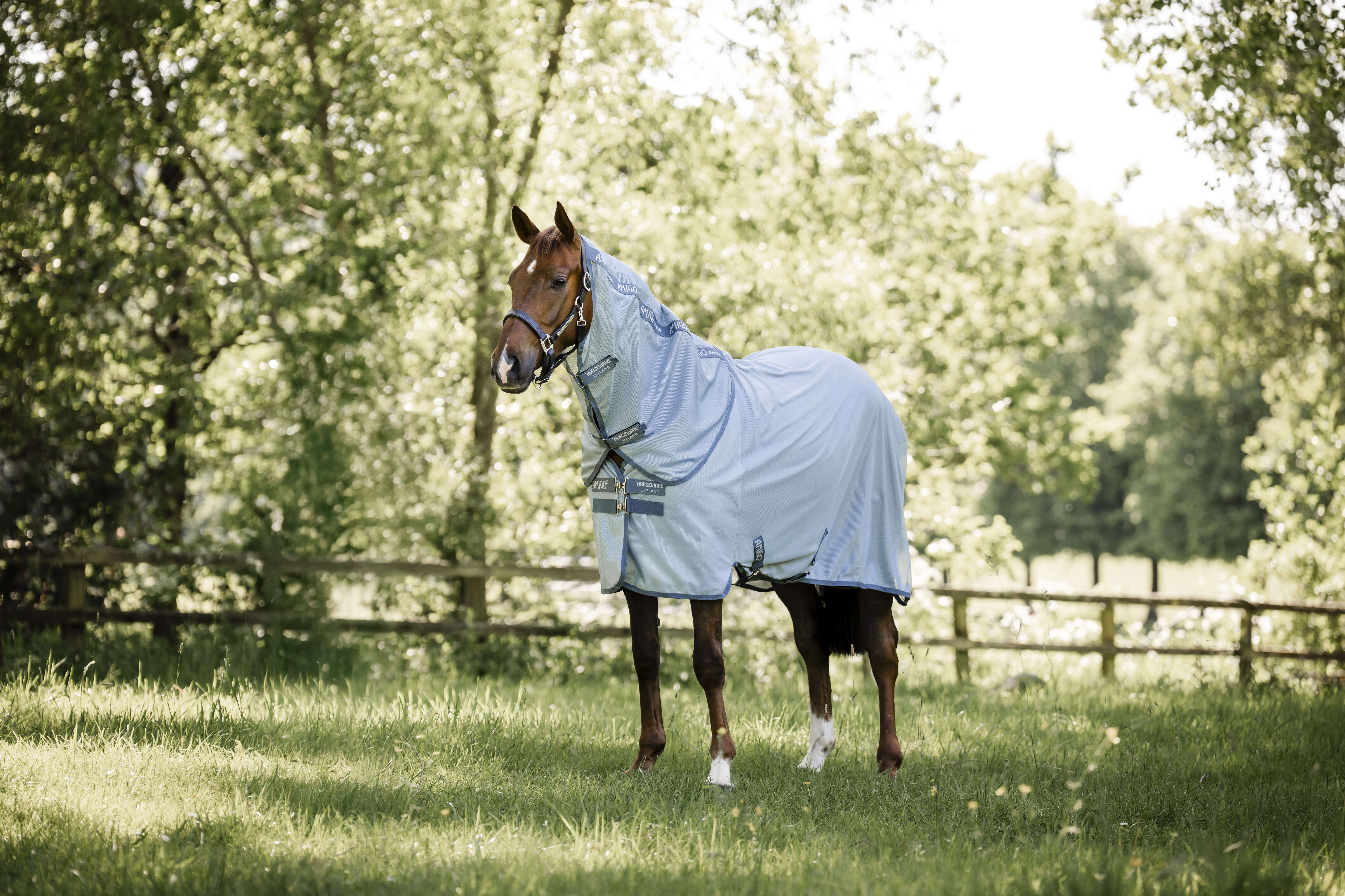 AMIGO Pony-Fliegendecke Bug Rug Plus