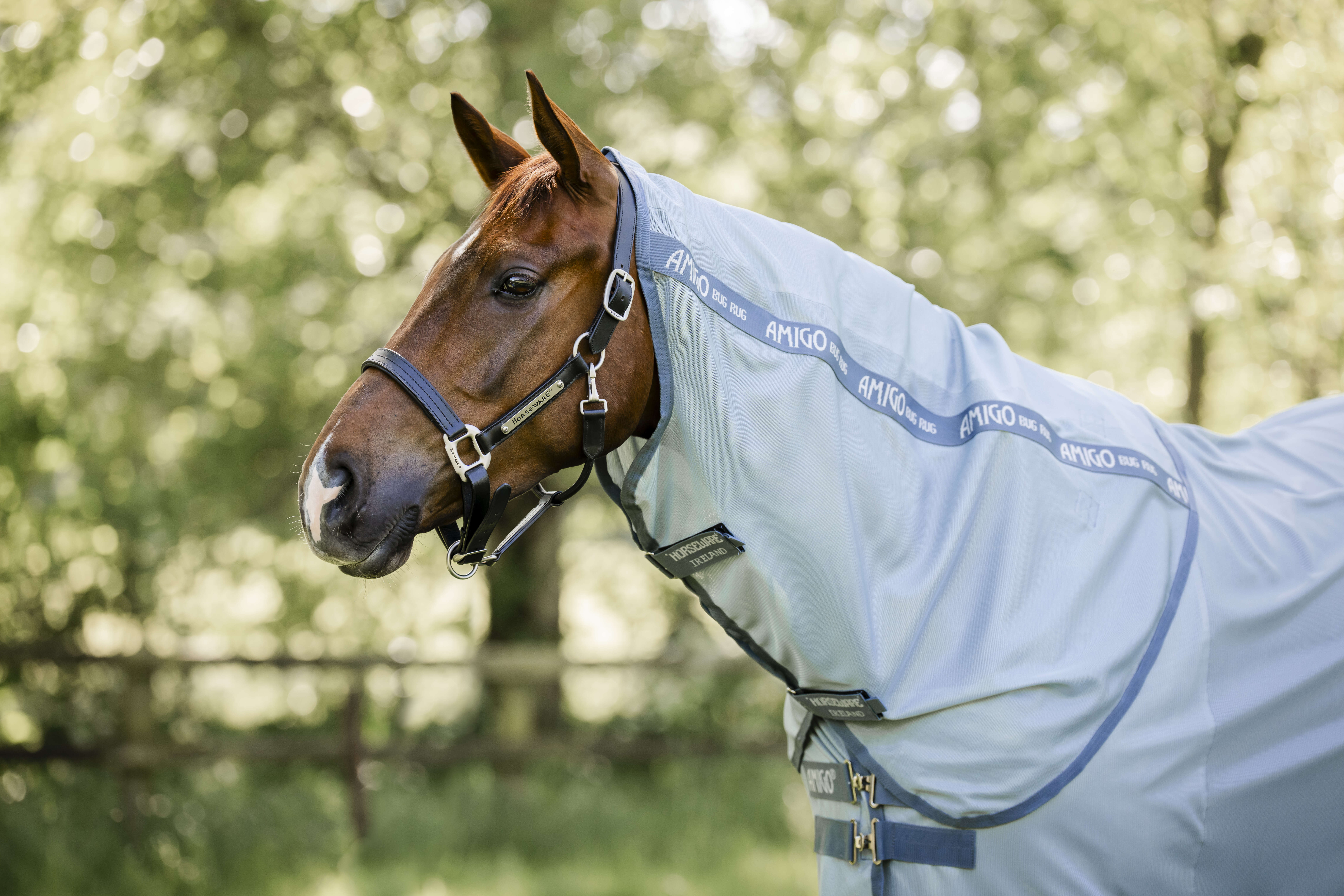 AMIGO Pony-Fliegendecke Bug Rug Plus