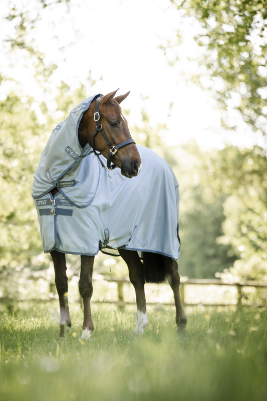 AMIGO Pony-Fliegendecke Bug Rug Plus
