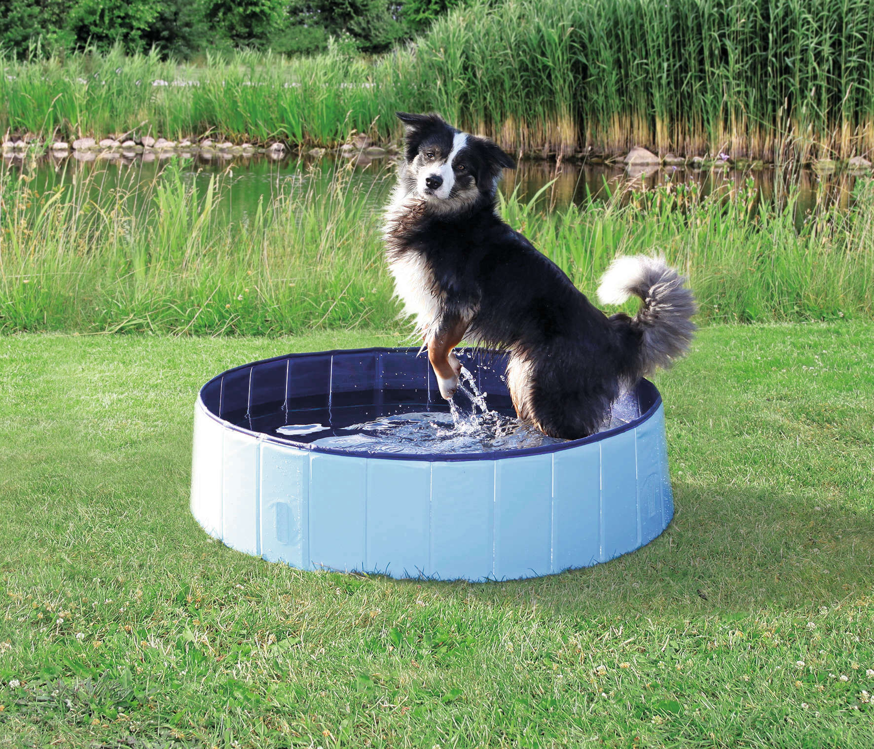 TRIXIE Hundepool