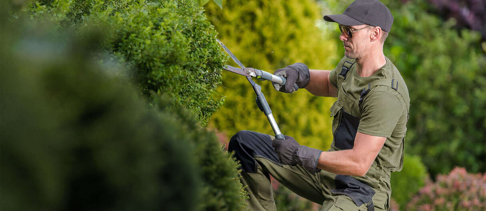Mann hecke schneiden gartenarbeit in arbeitskleidung 1700x740