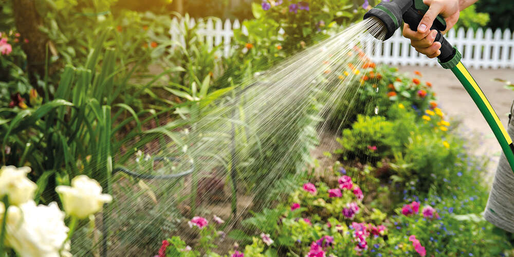 garten wird gegossen landflair ratgeber 1000x500