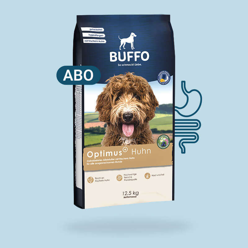 Highlightprodukt Buffo Optimus 800x800