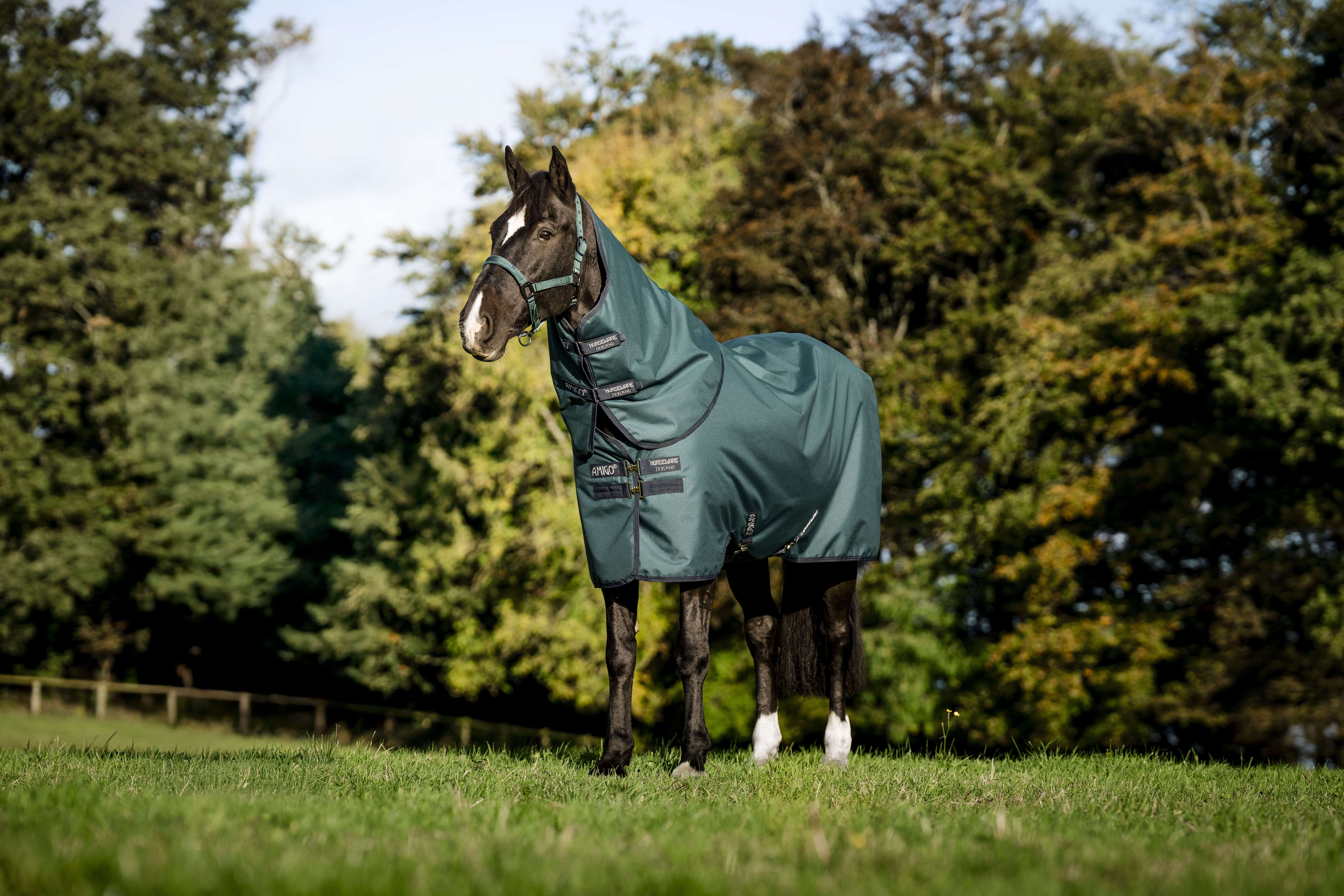 AMIGO Ripstop 900D Plus Weidedecke 200g