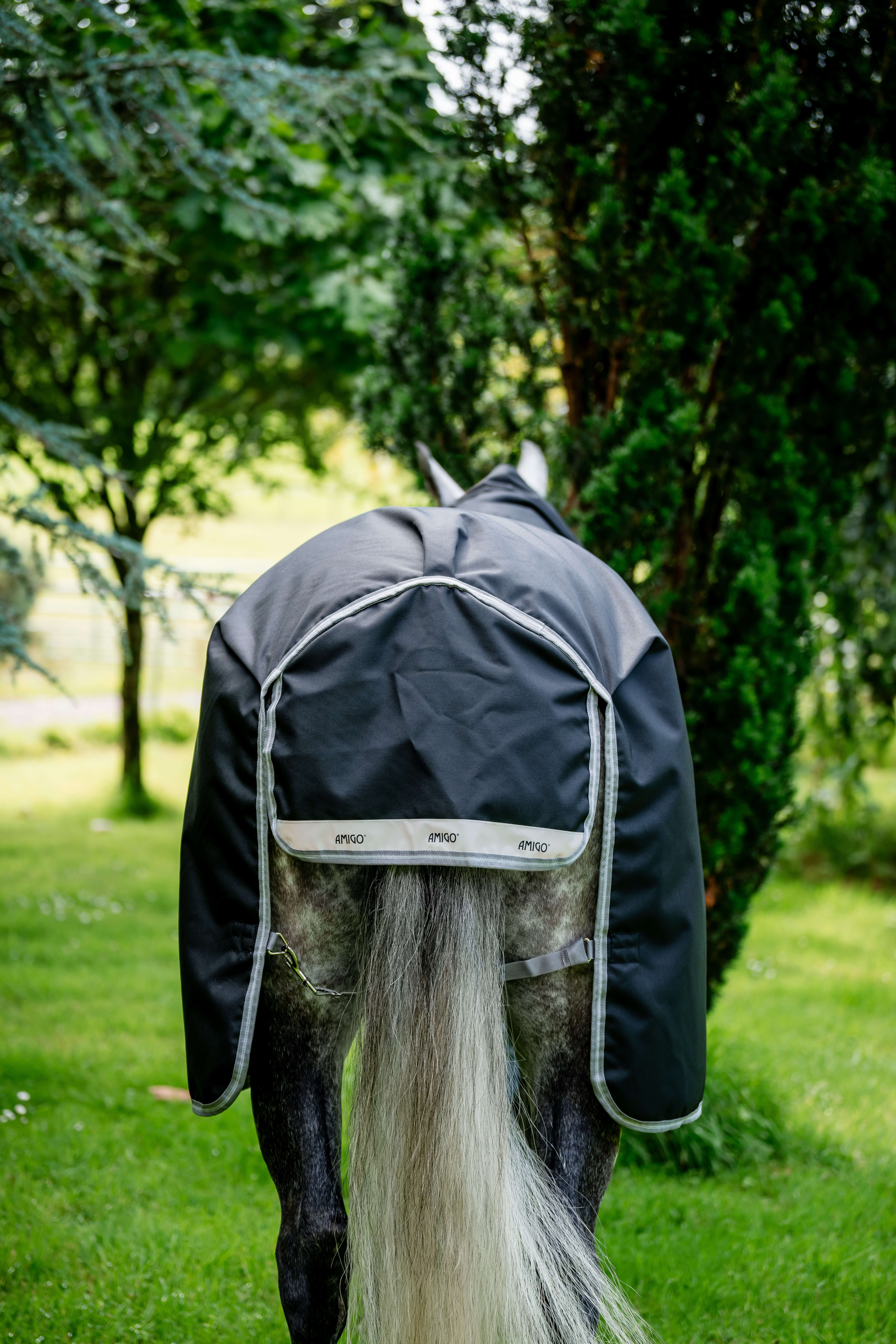 AMIGO Weidedecke Bravo 12 Plus Turnout 250g