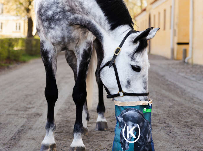 Pferd Frisst Pellets