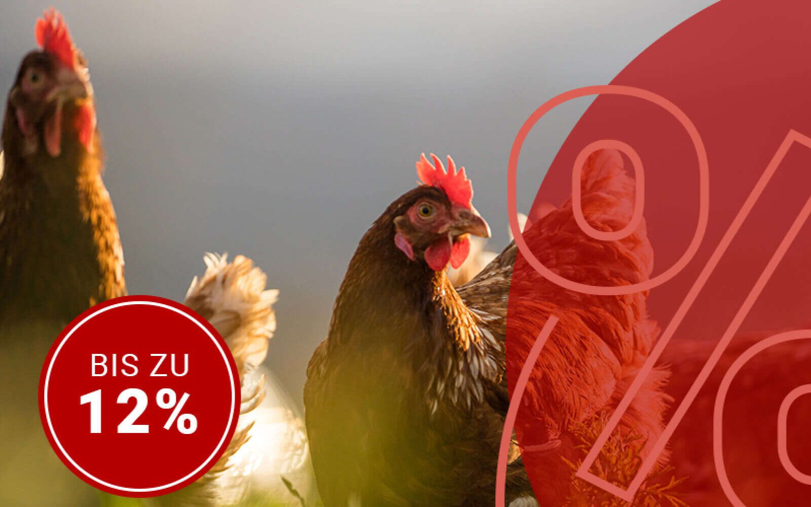 sale landtiere huehner ziegen nager