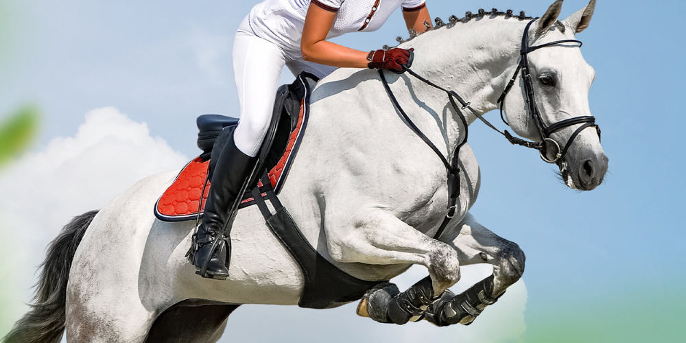 frau auf pferd turnier 1000x500