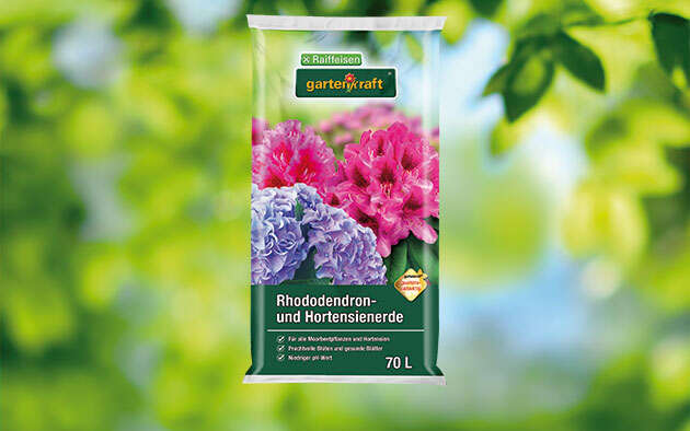 gartenkraft Rhododendron- und Hortensienerde