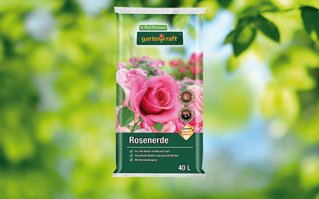 gartenkraft Rosenerde