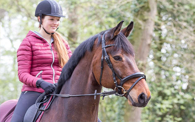 Unser Reitsport-Ratgeber auf www.raiffeisenmarkt.de