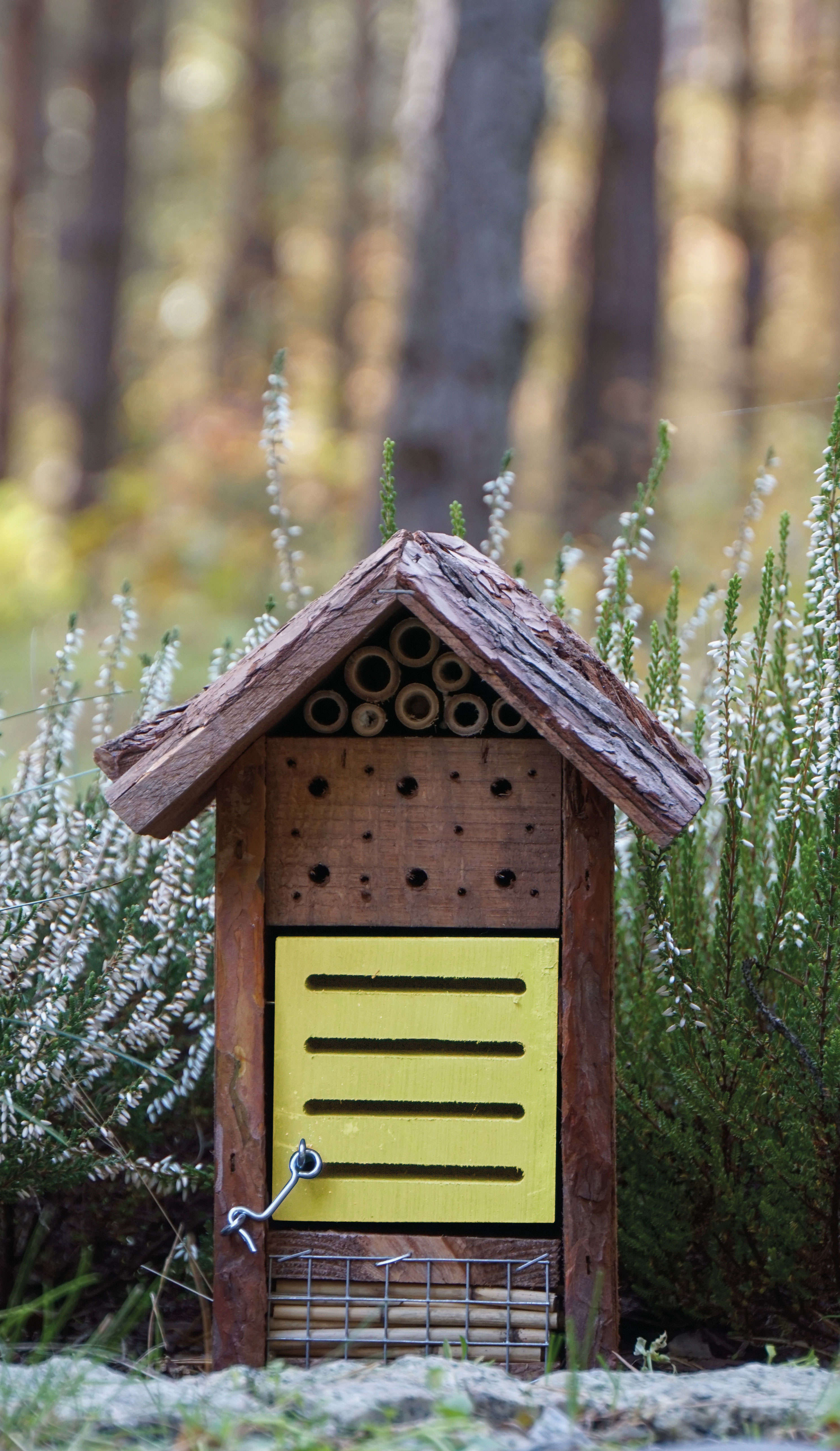 Marienkäfer- und Bienenhaus