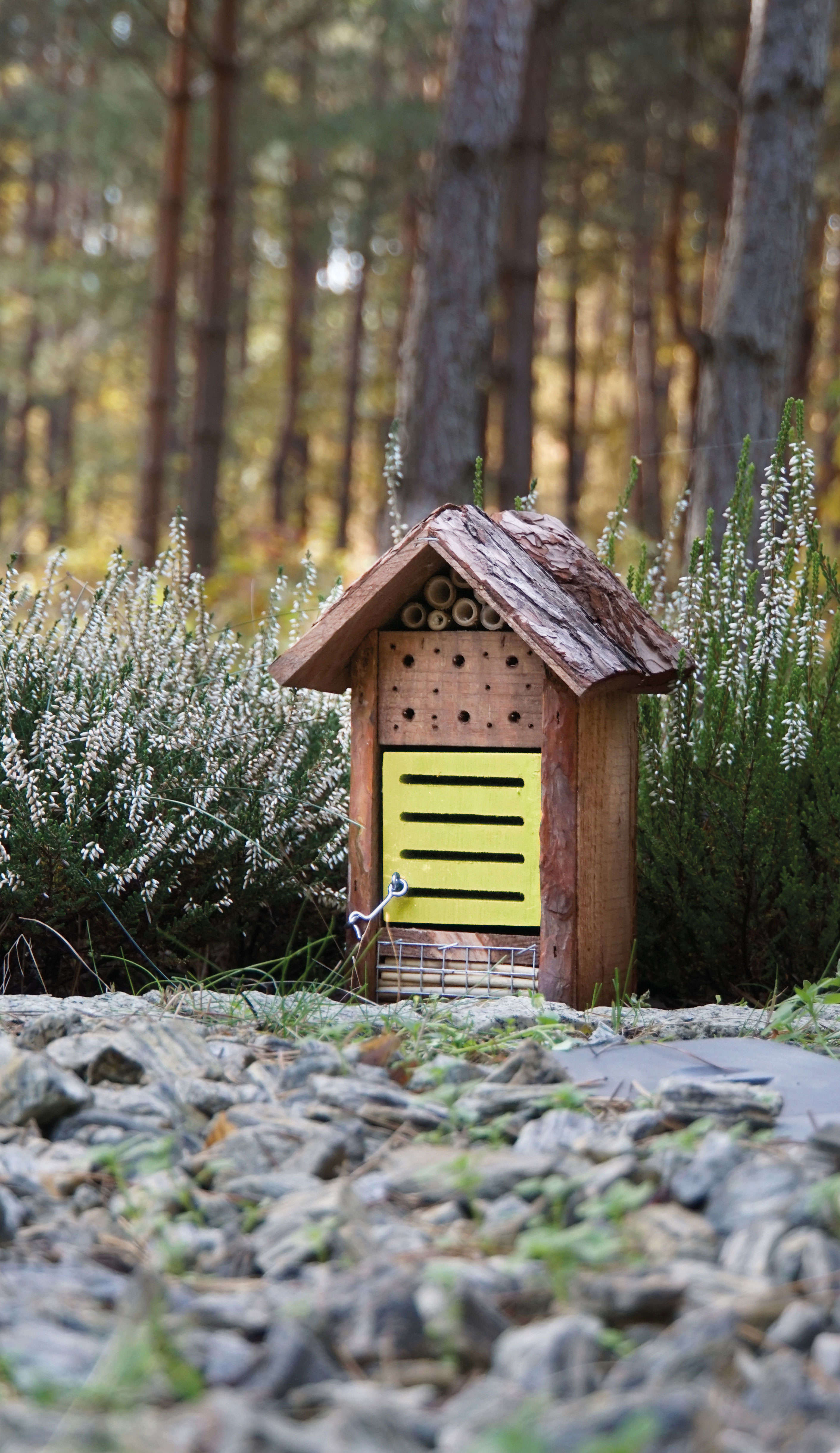 Marienkäfer- und Bienenhaus