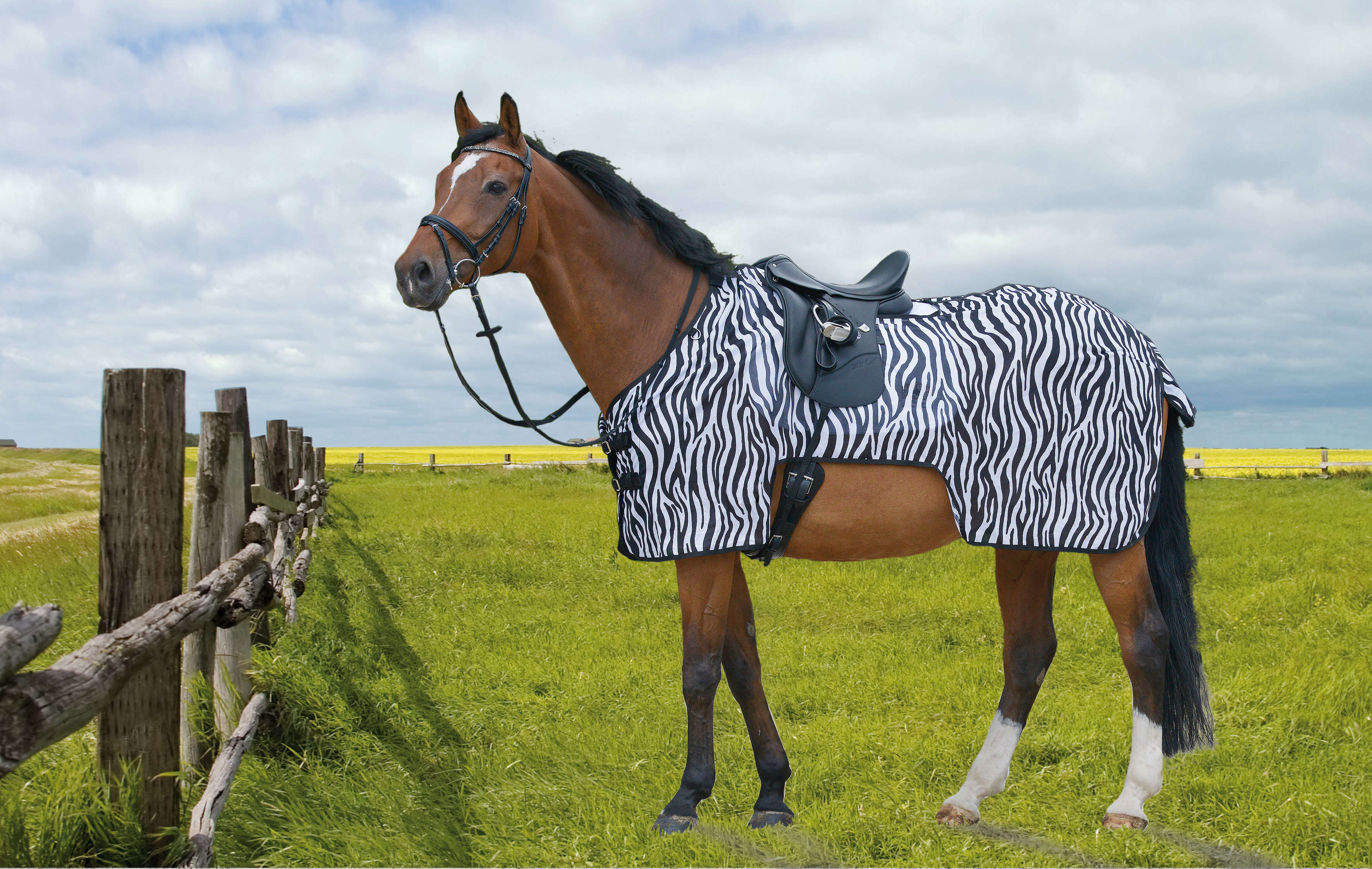 KANTRIE Fliegenausreitdecke Zebra