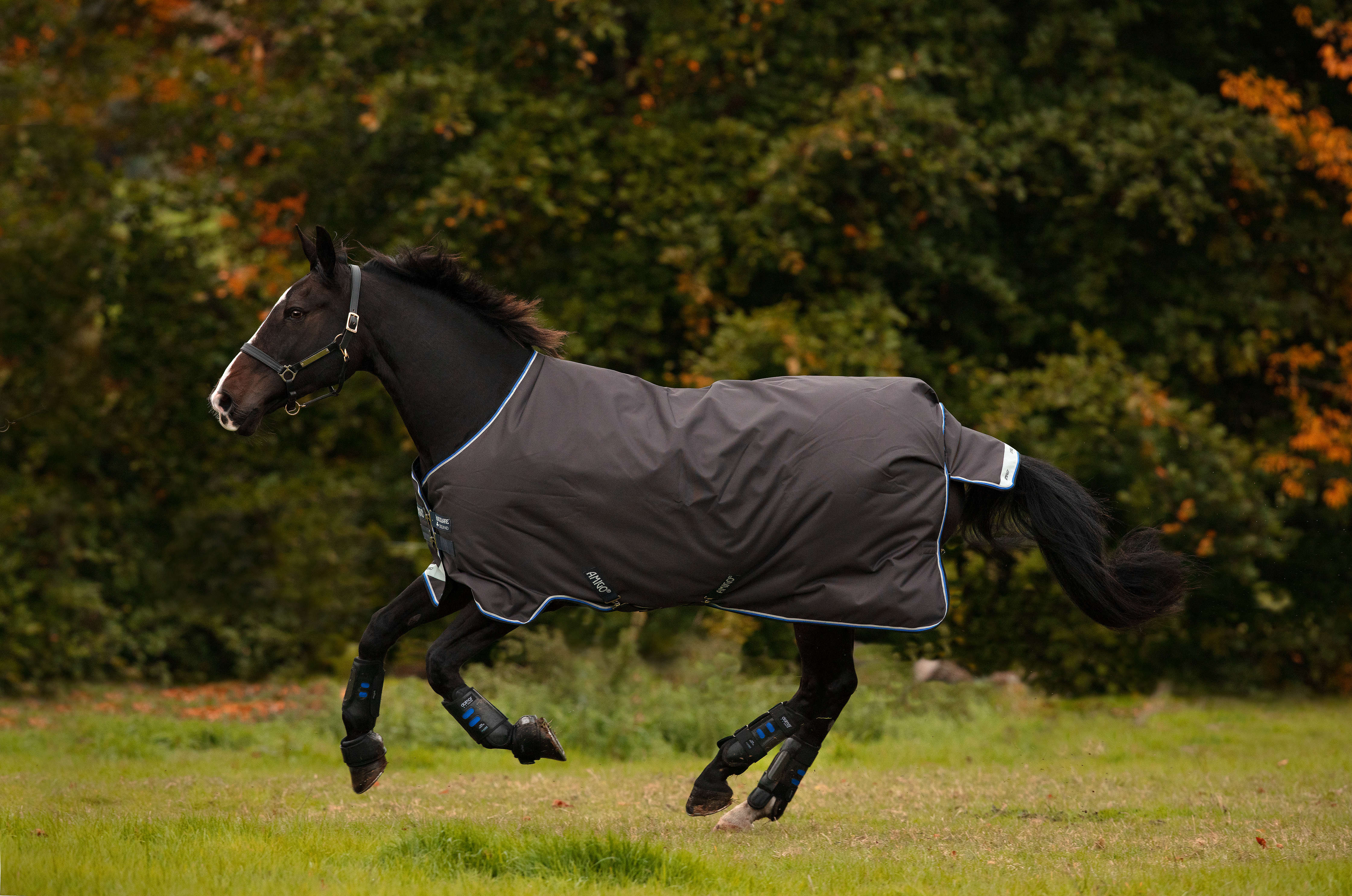 Horseware AMIGO Outdoordecke Bravo 12 100 g