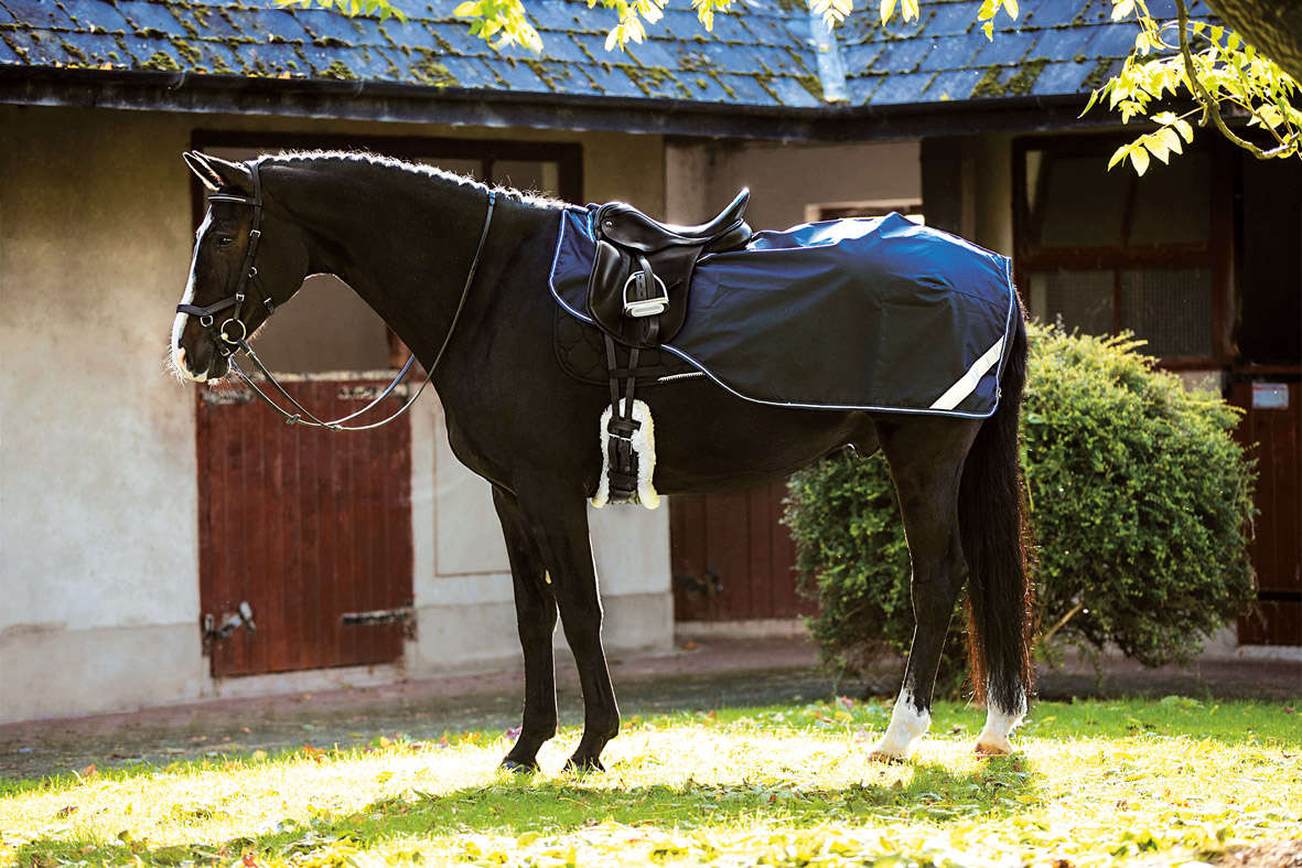 AMIGO Nierenausreitdecke Competition Sheet
