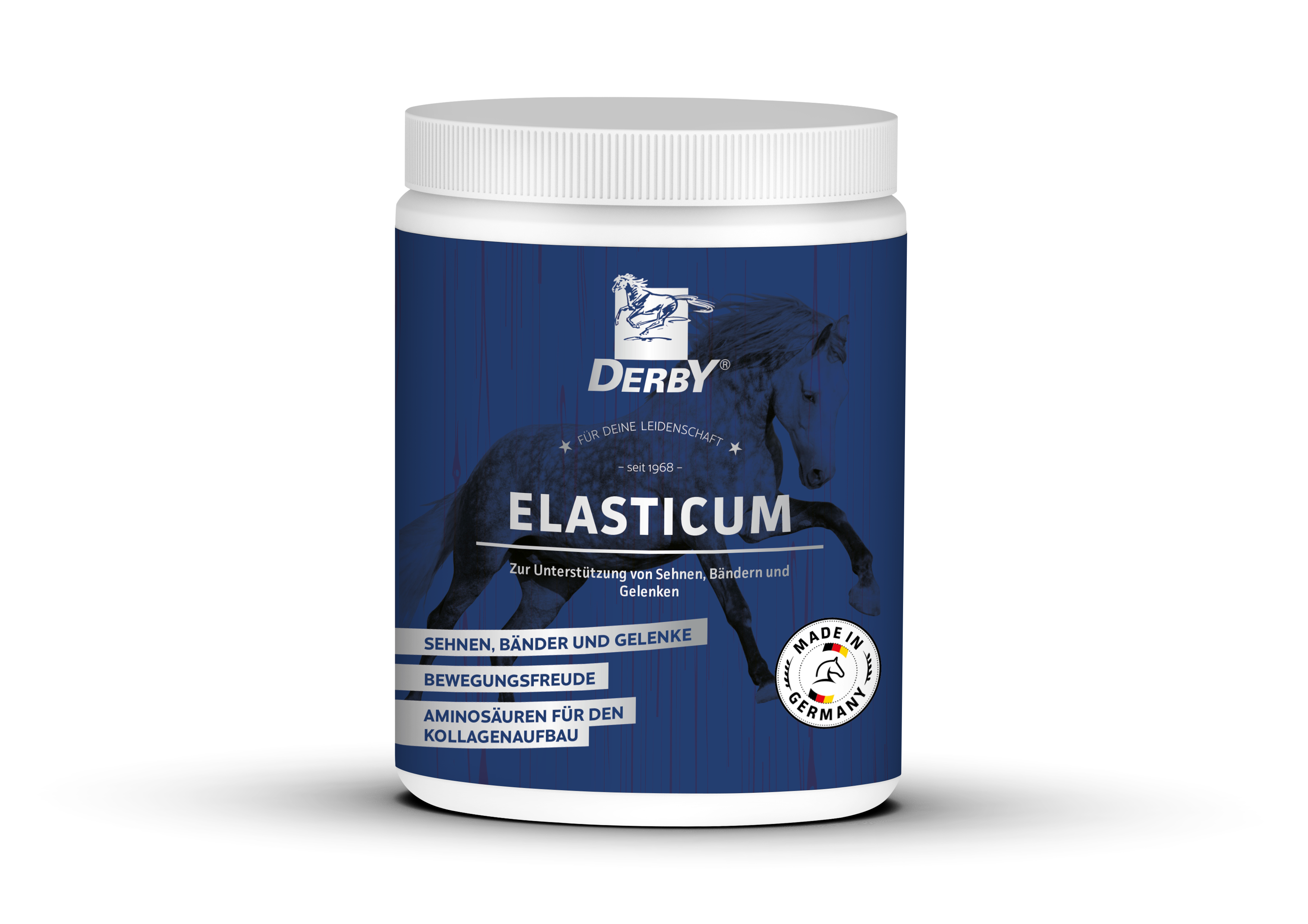 DERBY Elasticum