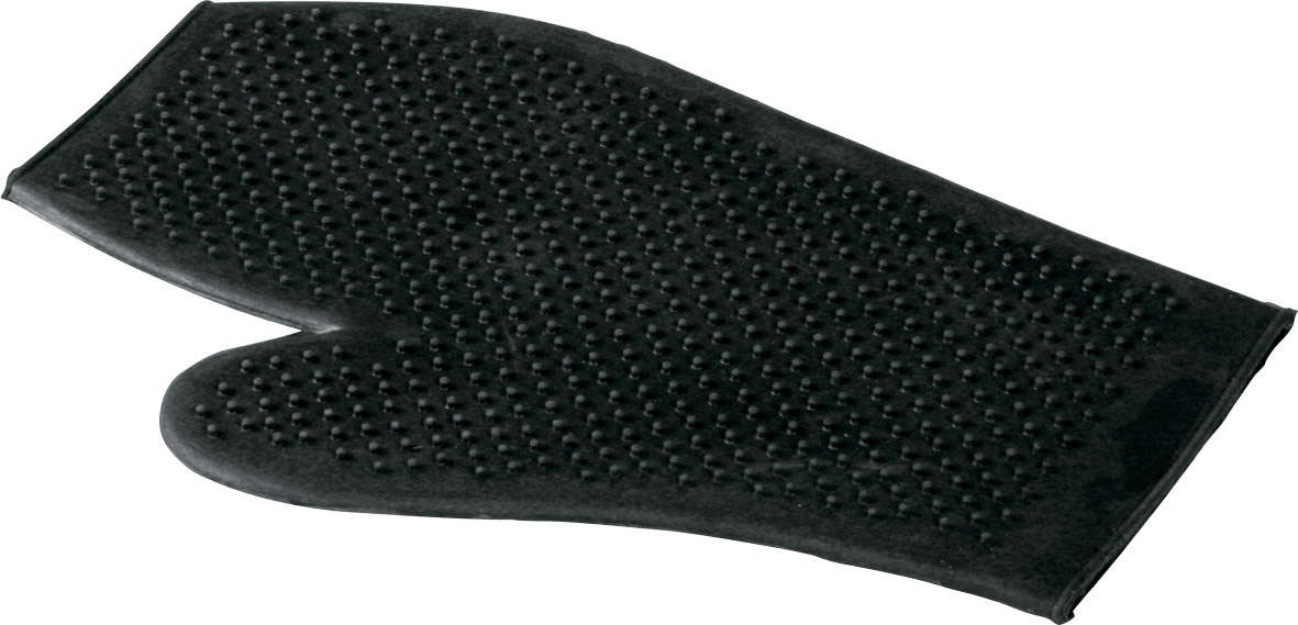 Putzhandschuh