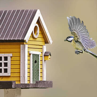 vogelzubhoer bubblenavibild