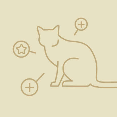 katzenzubehoer icon