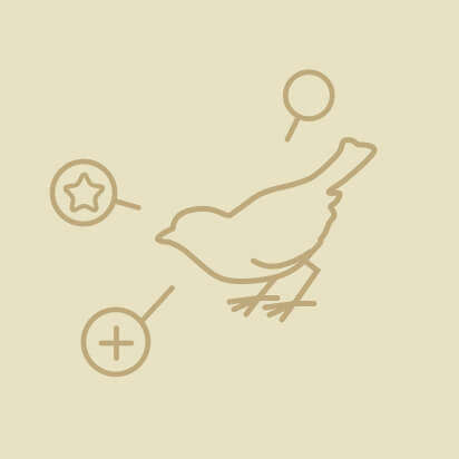 vogelzubehoer icon