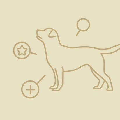 hundezubehoer icon