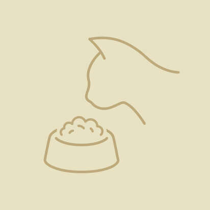 katzenfutter icon