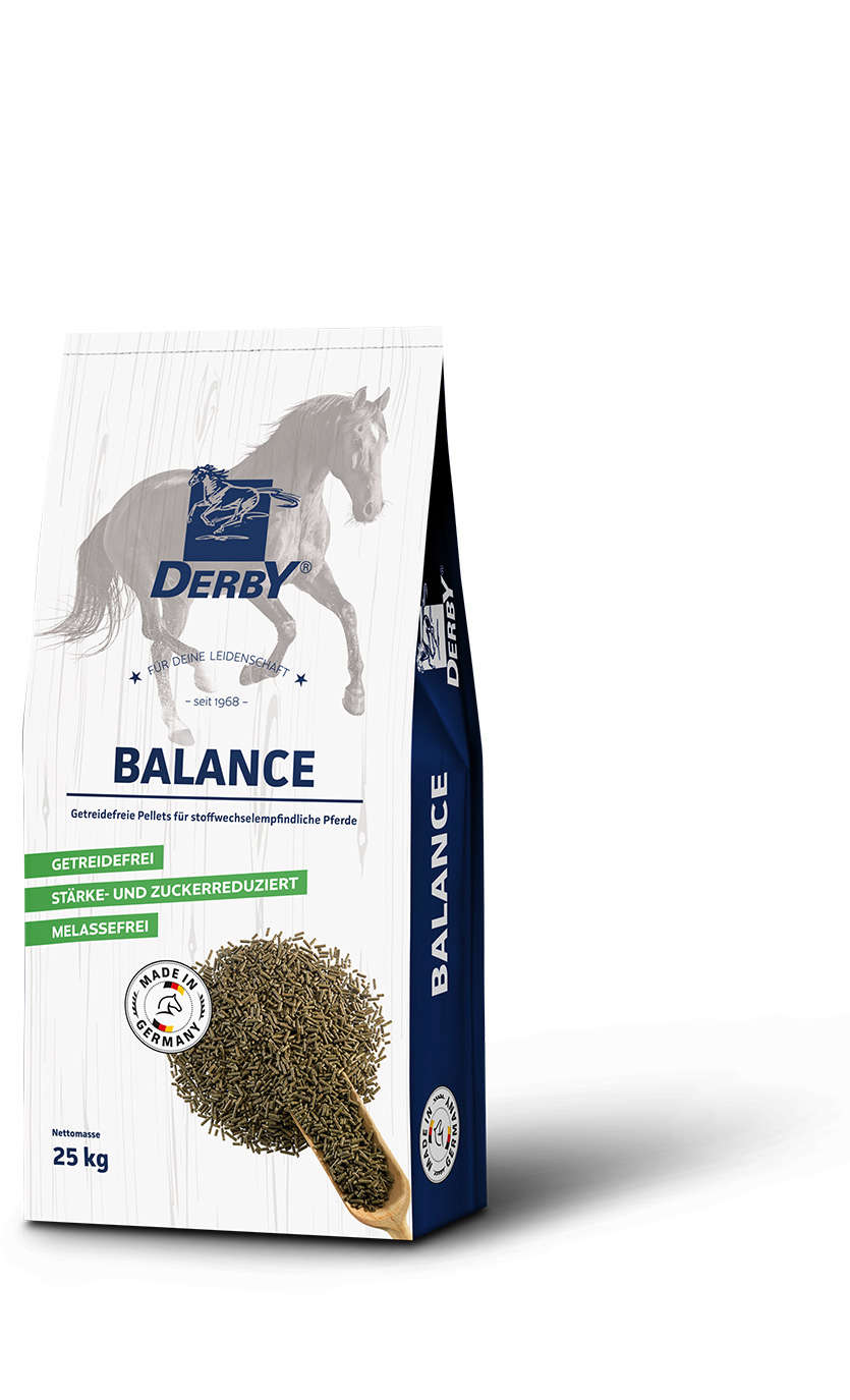 DERBY Balance