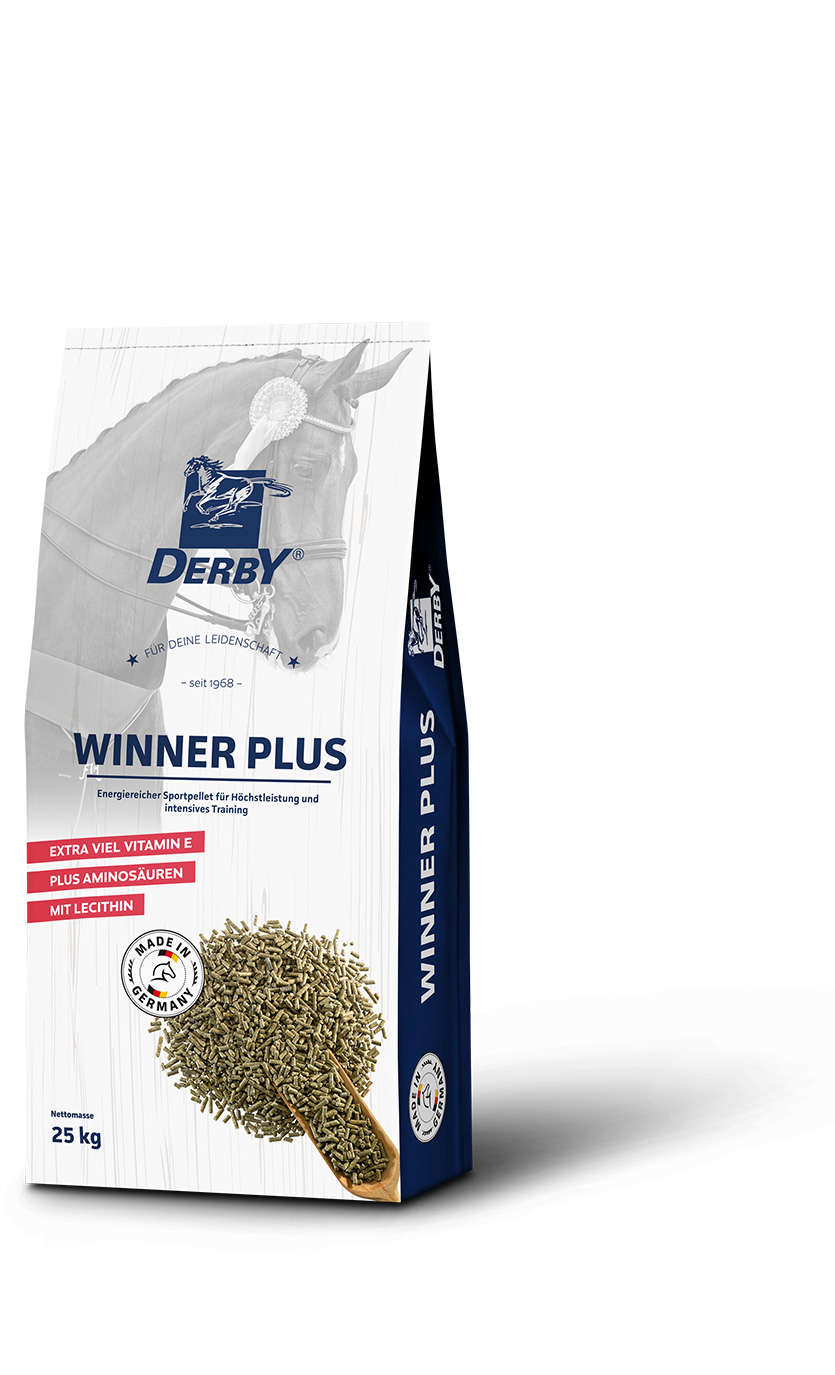 DERBY Winner Plus