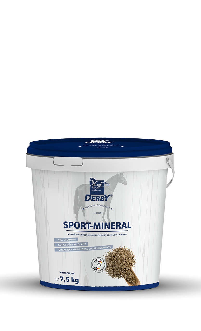 DERBY Sport-Mineral