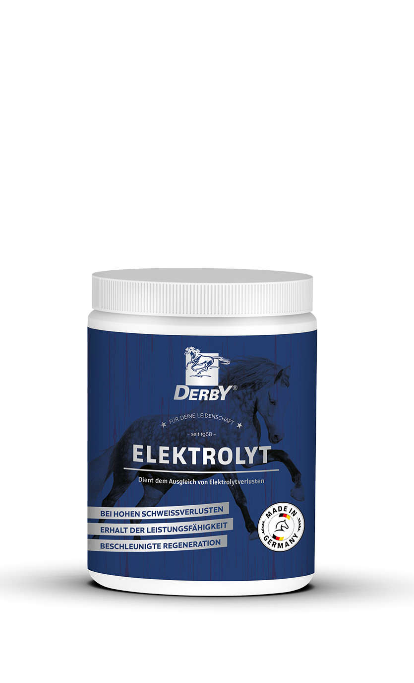 DERBY Elektrolyt