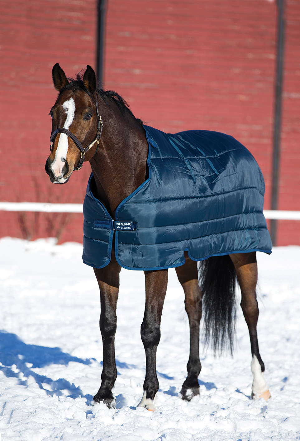 Horseware Unterdecke Liner 200 g