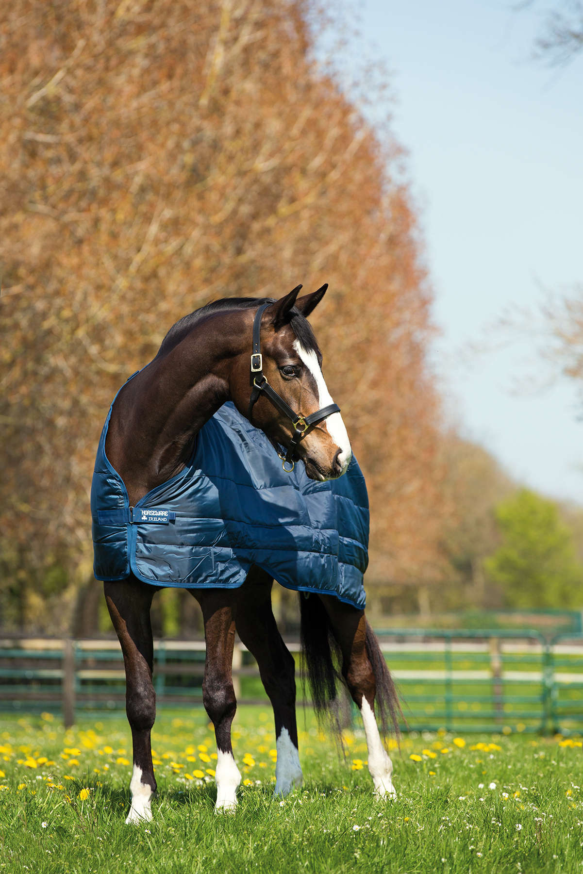 Horseware Unterdecke Liner 100 g