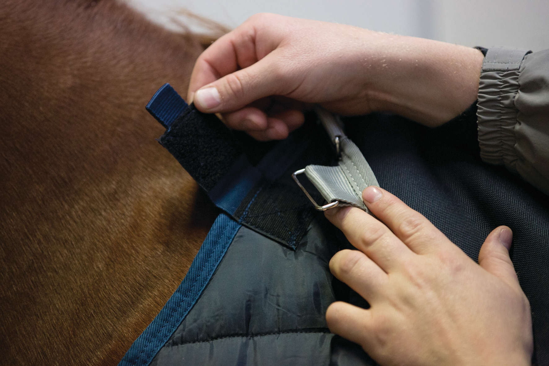 Horseware Unterdecke Liner 200 g