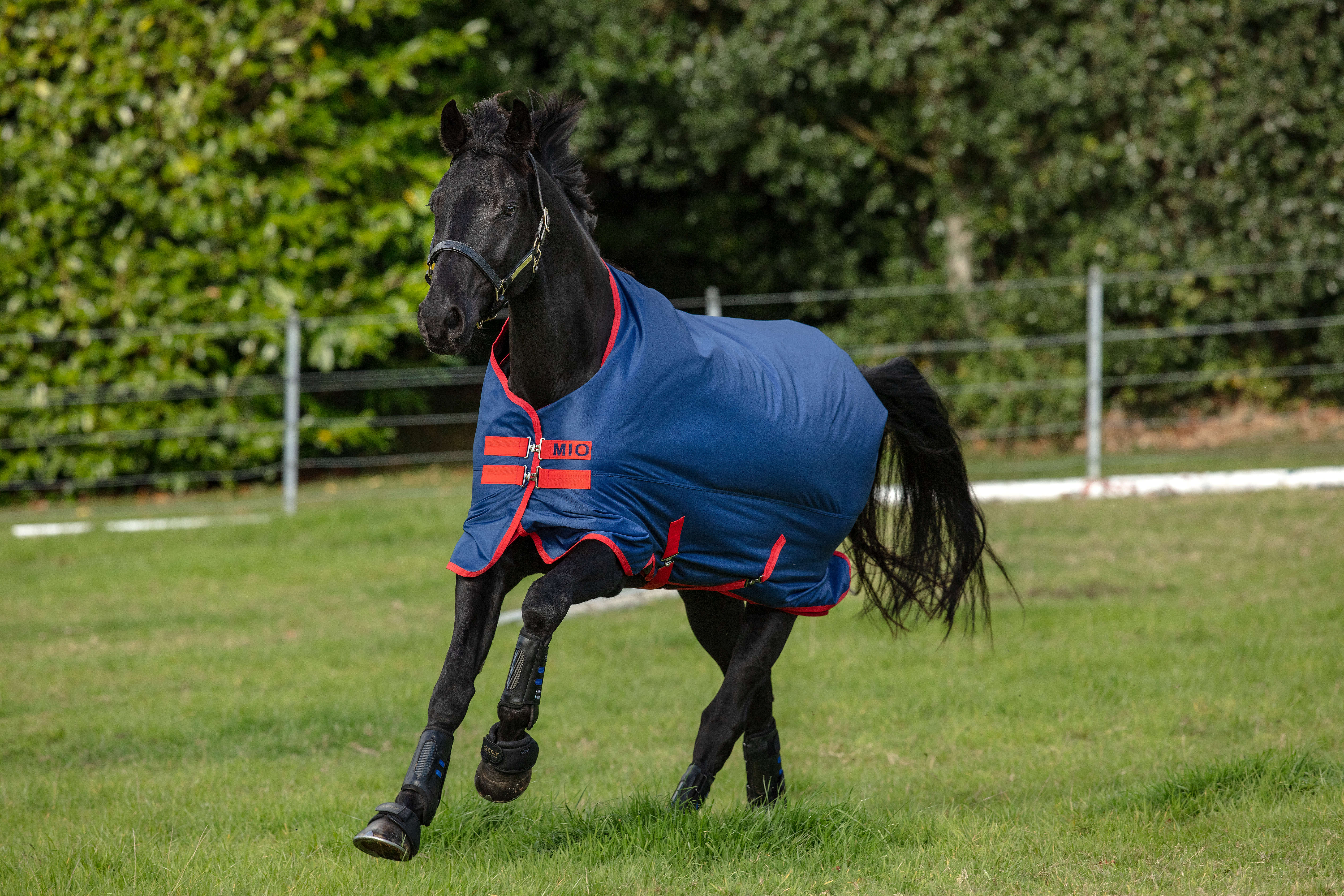 Horseware MIO Outdoordecke Turnout Lite 0g