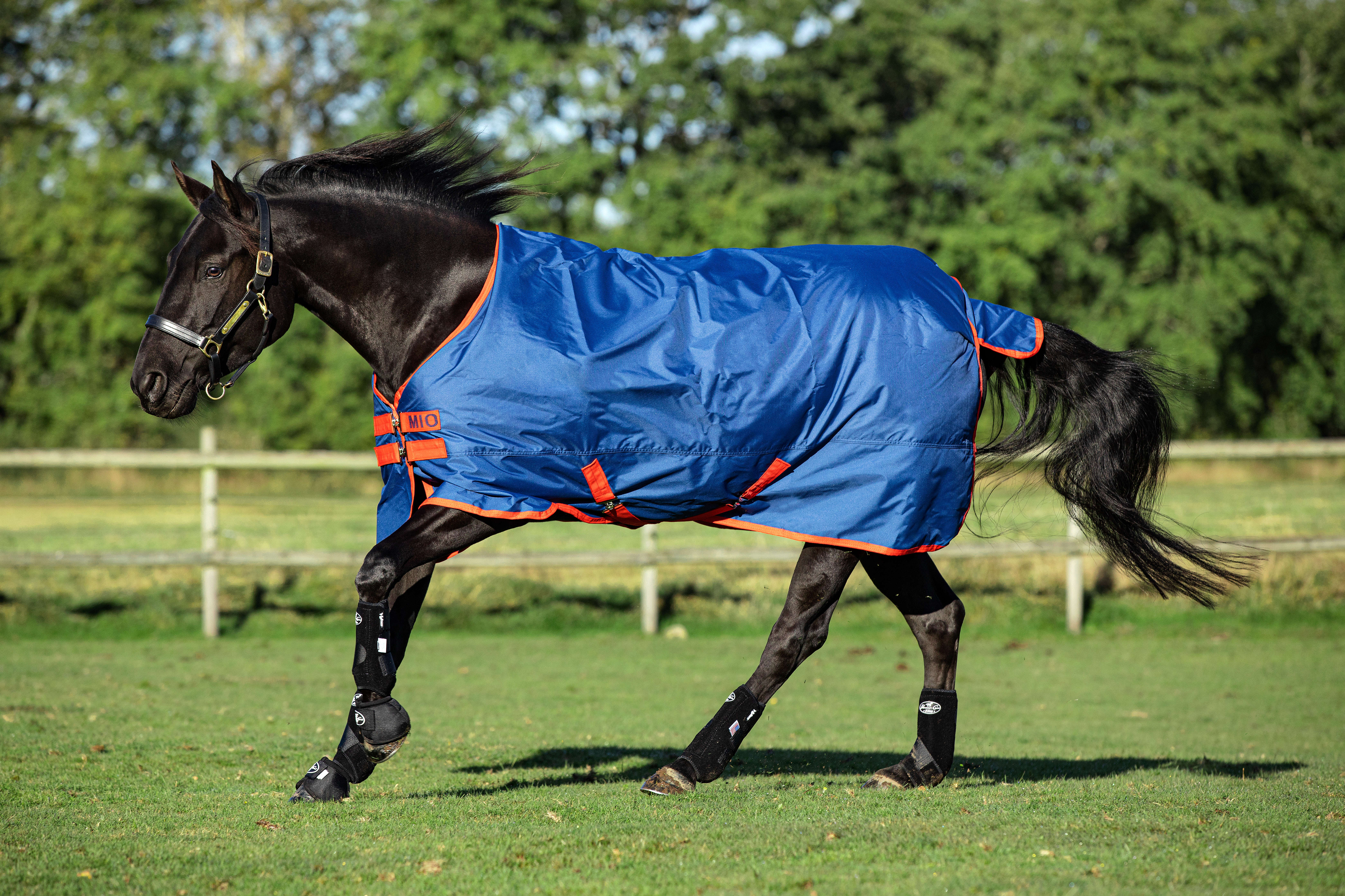 Horseware MIO Outdoordecke Turnout Lite 0g