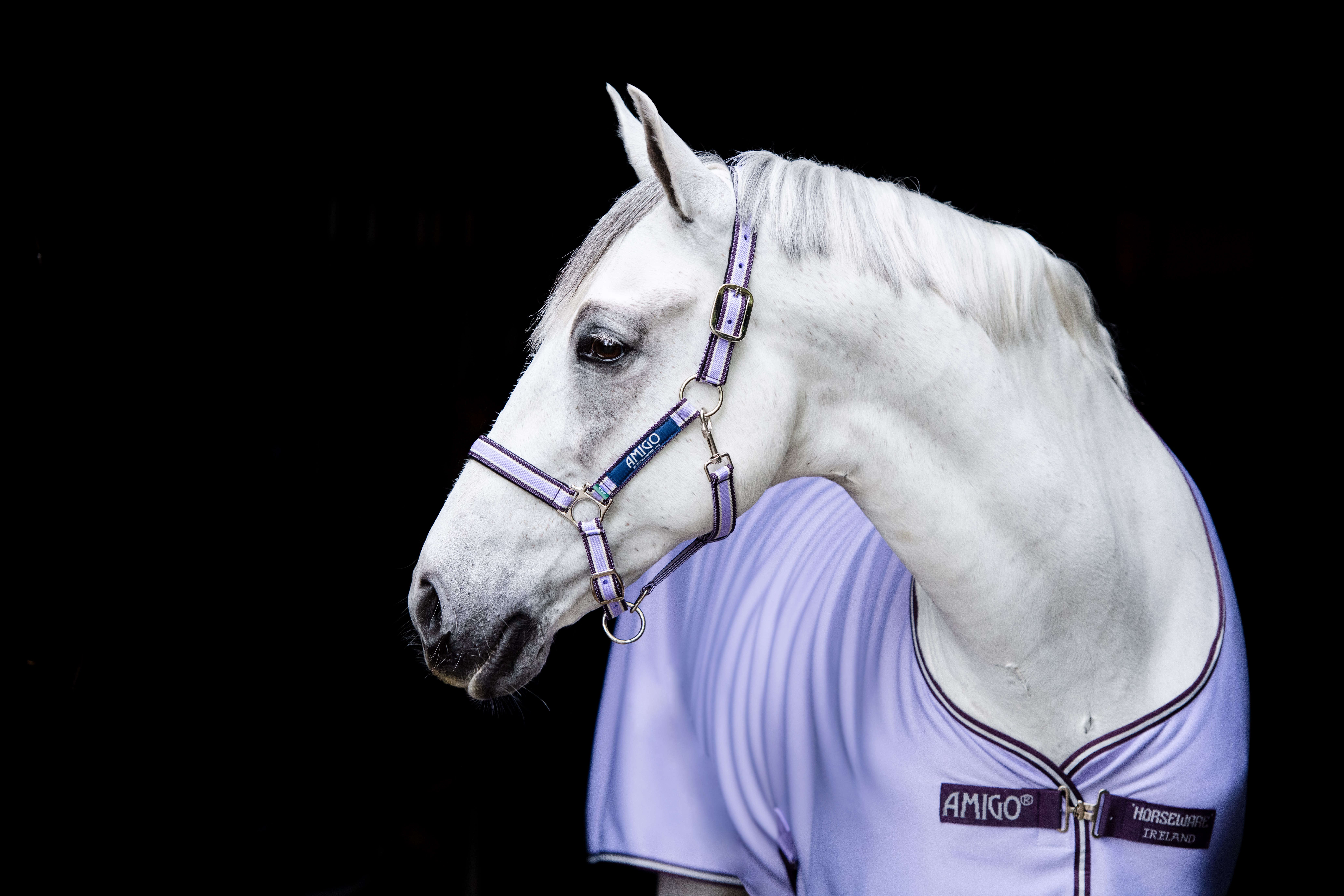 Horseware AMIGO Abschwitzdecke Jersey Cooler
