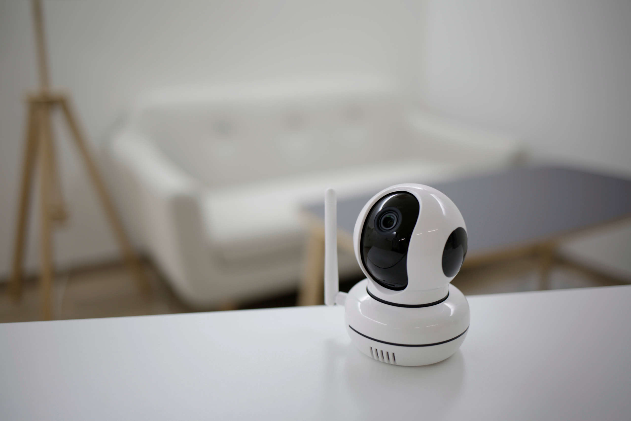 Überwachungskamera IPCam PET