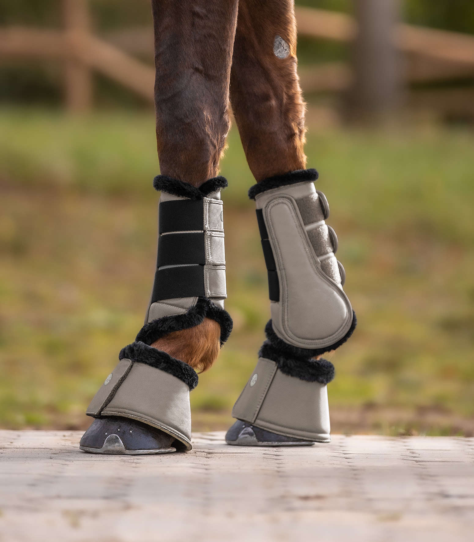 WALDHAUSEN Dressurgamasche Pegasus beige
