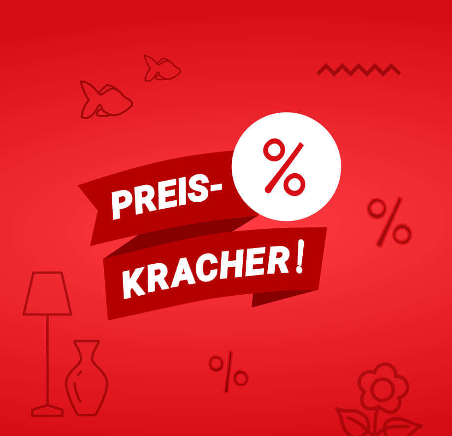startseite november banner preiskracher