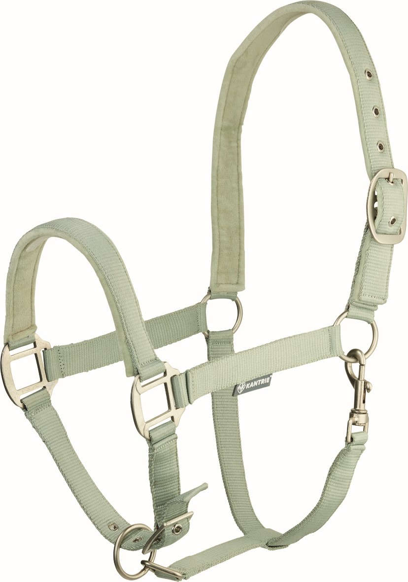 KANTRIE Halfter Satin, pistazie