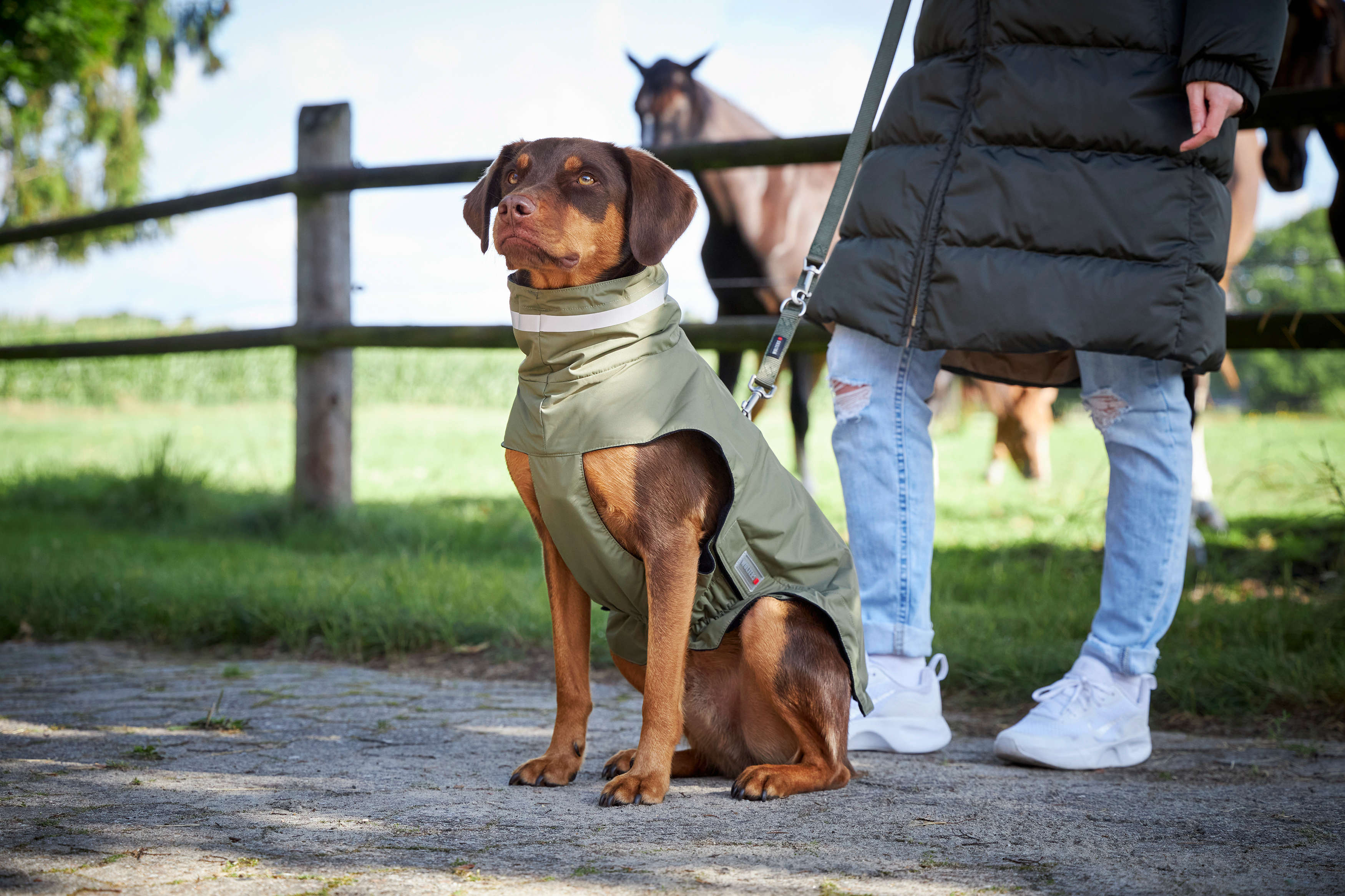WOLTERS Hundemantel Modern Classic