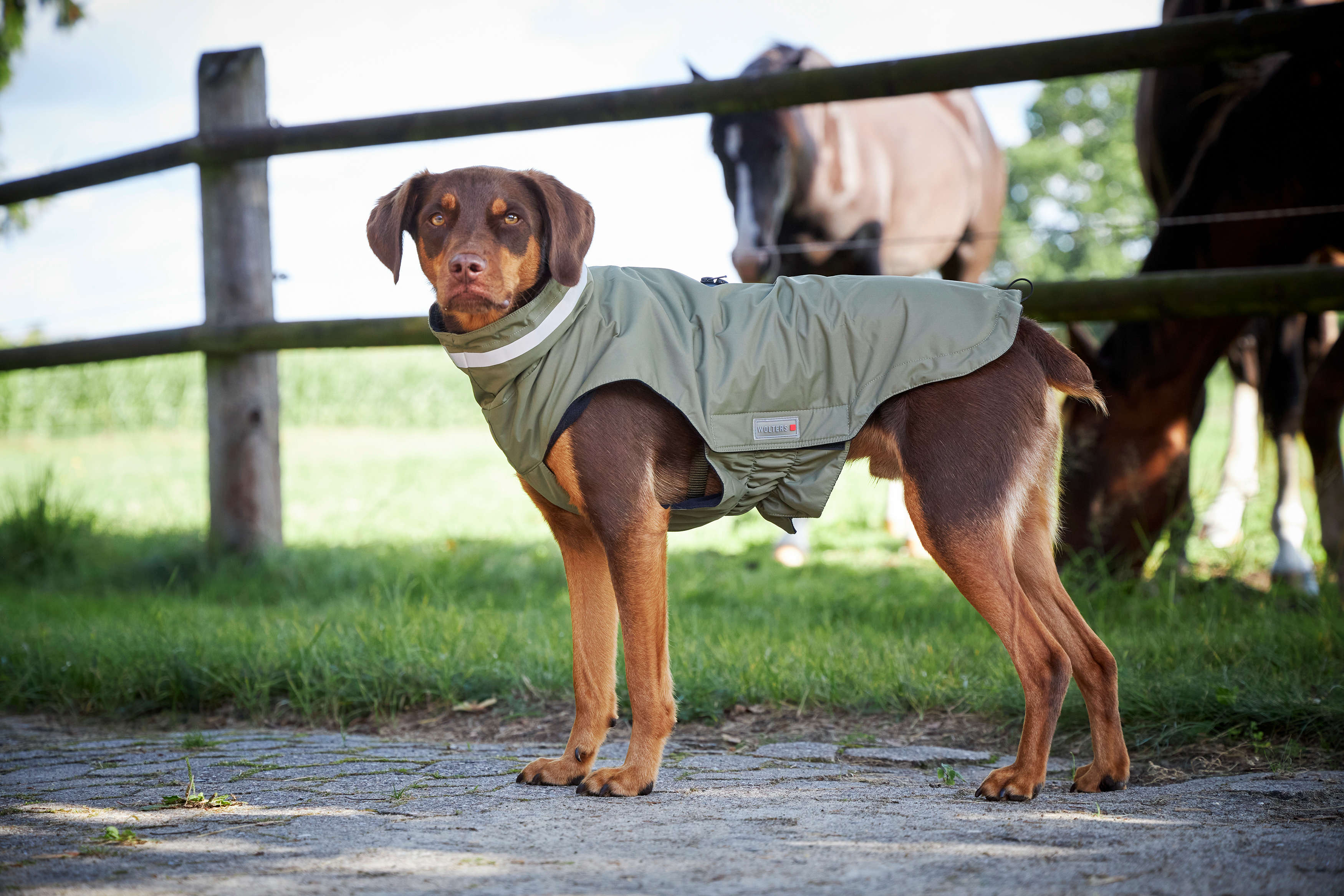 WOLTERS Hundemantel Modern Classic