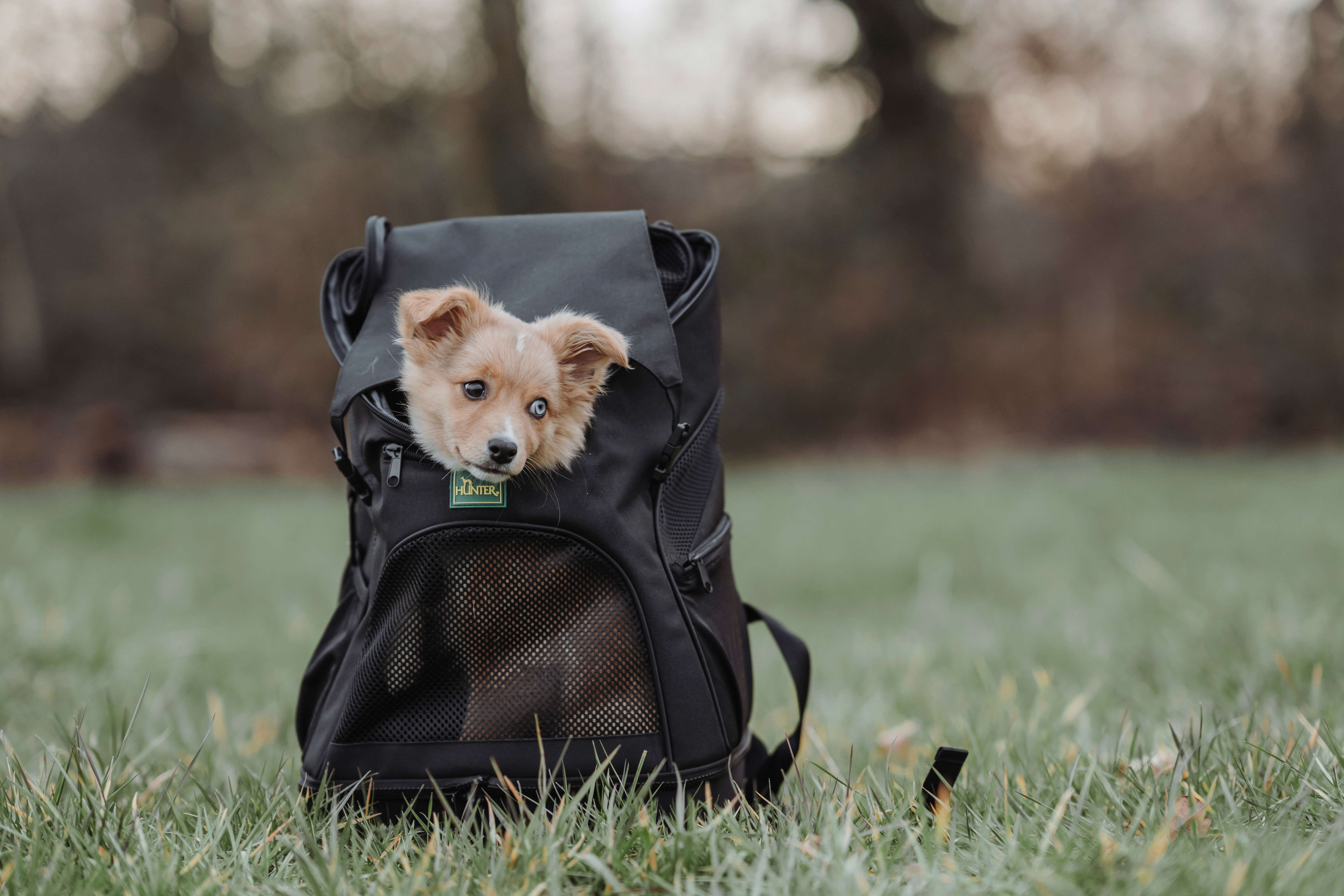 HUNTER Flugtasche und Rucksack Miles