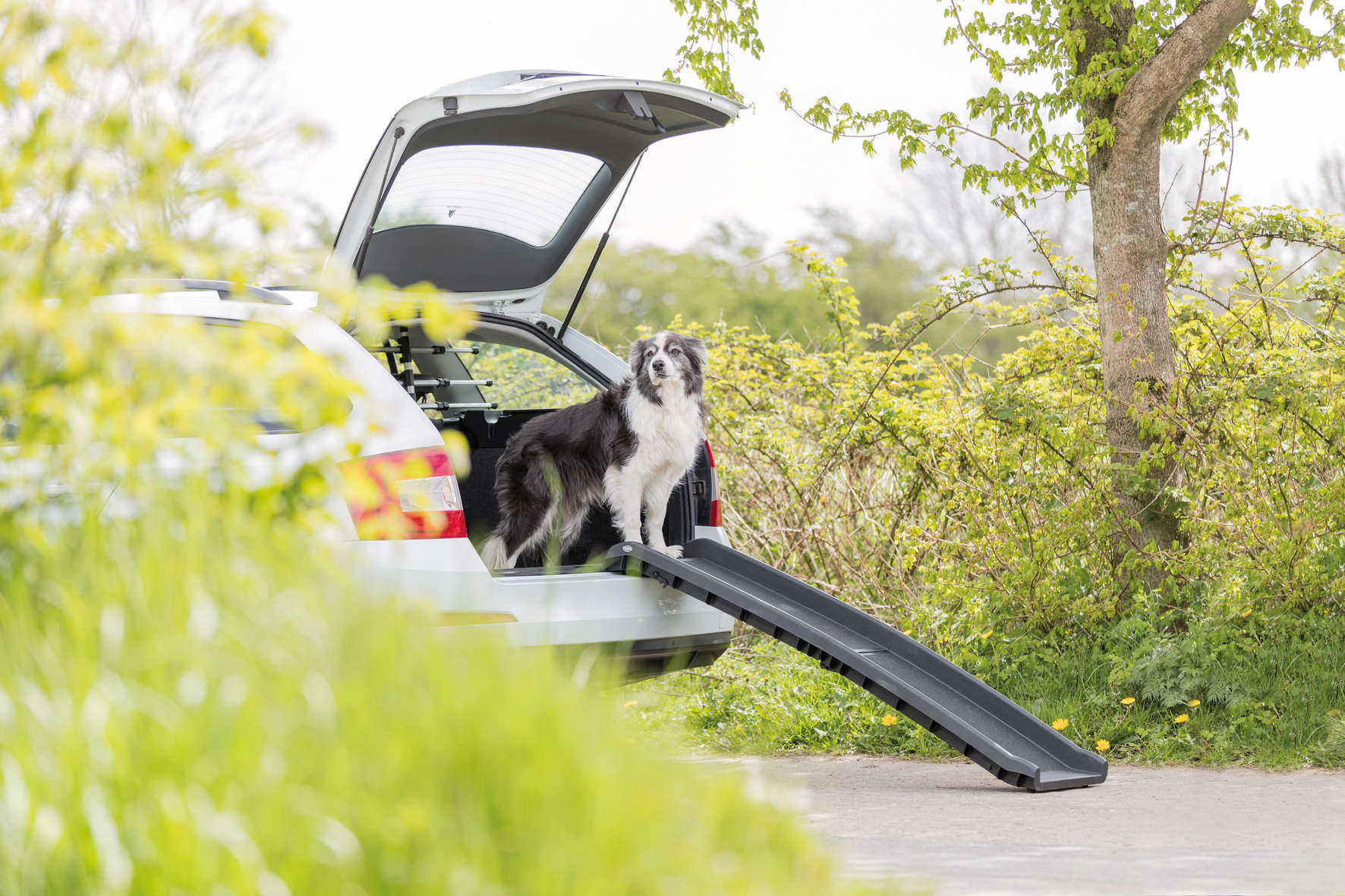 TRIXIE Hunde-Rampe Petwalk klappbar