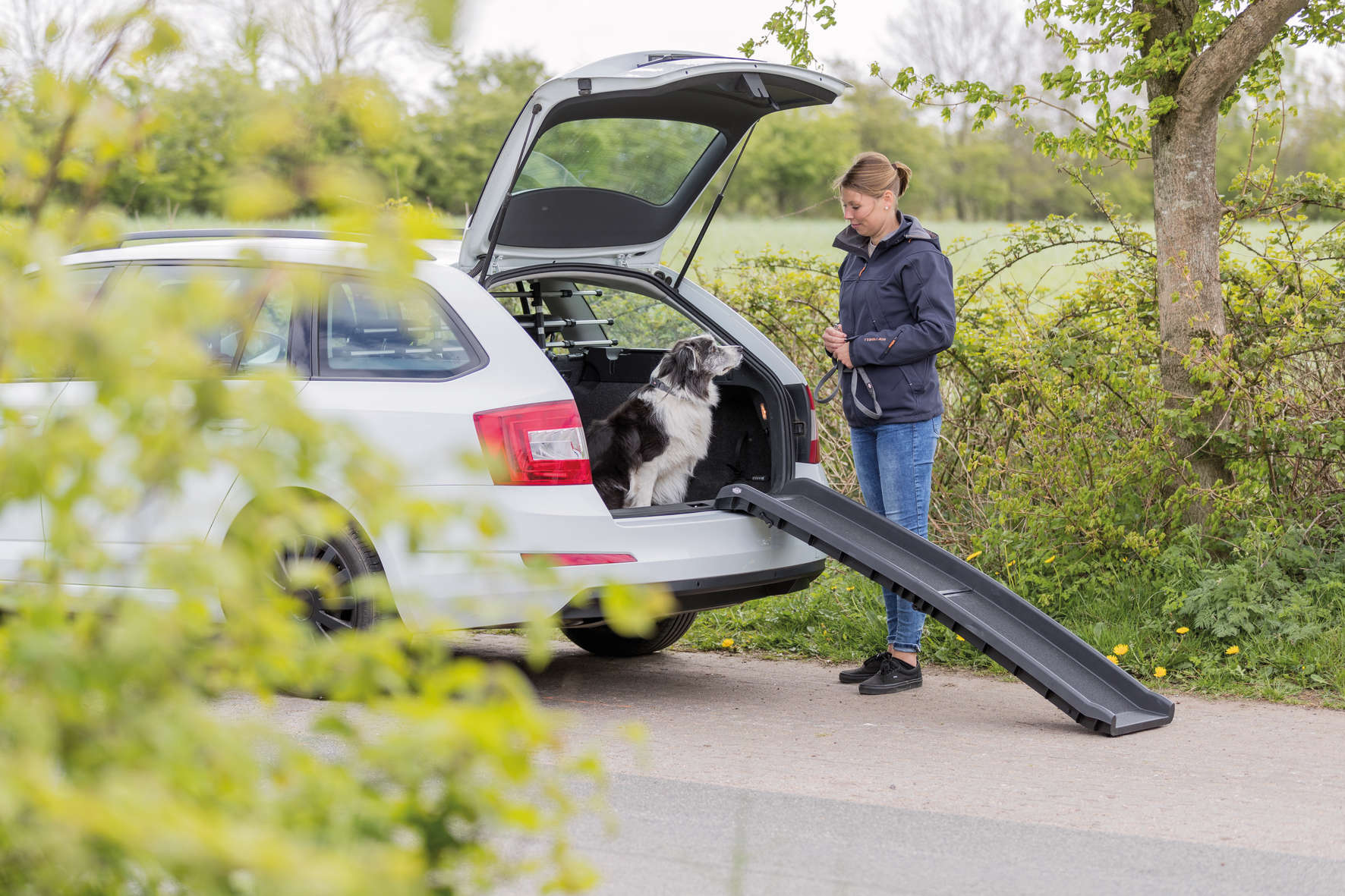 TRIXIE Hunde-Rampe Petwalk klappbar