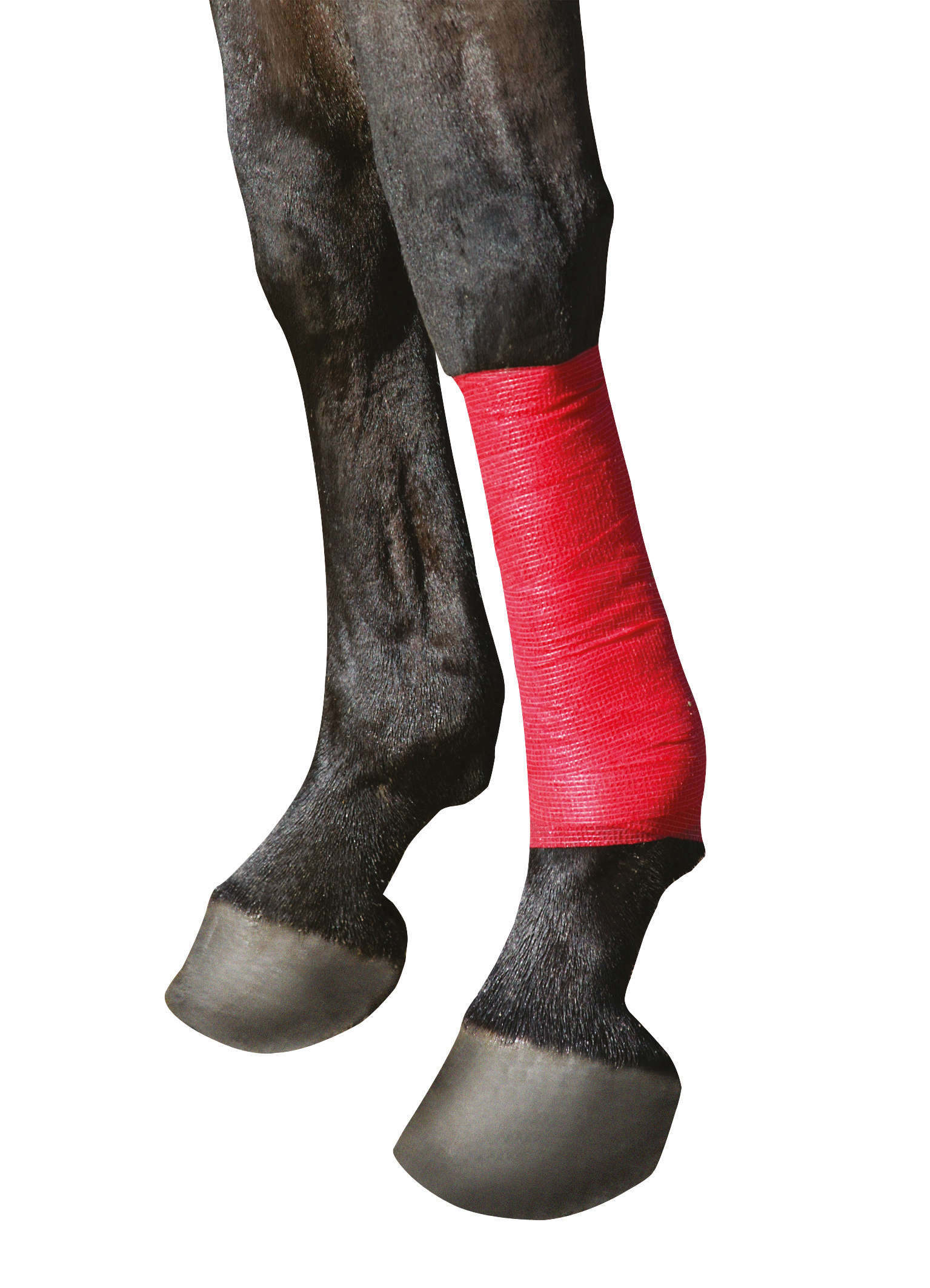 KERBL Equilastic Bandage
