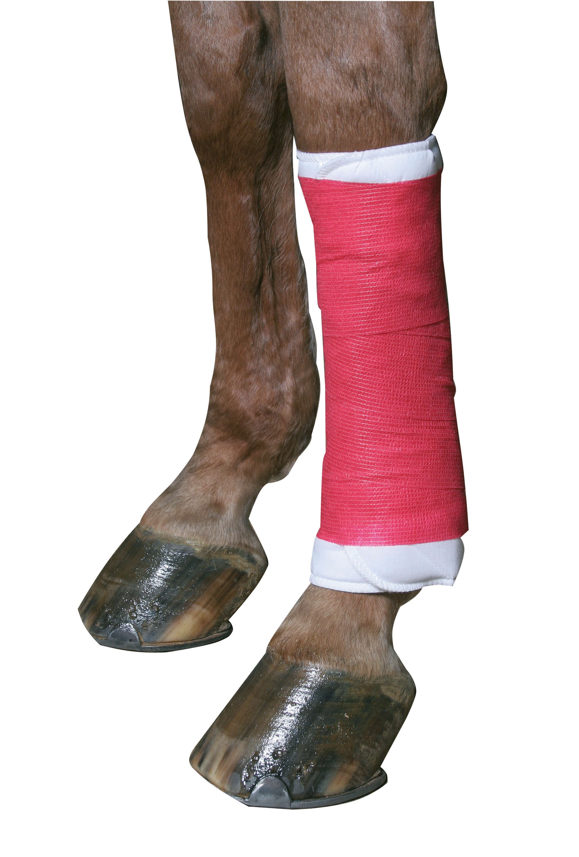KERBL Equilastic Bandage